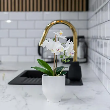 Appartement Modern Center By Renters *