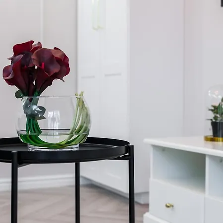 Modern Center By Renters *