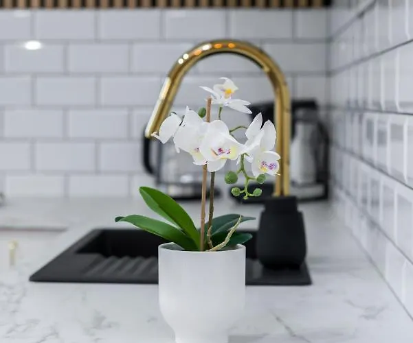 아파트 Modern Center By Renters *