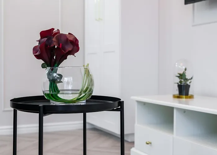 Modern Center By Renters *